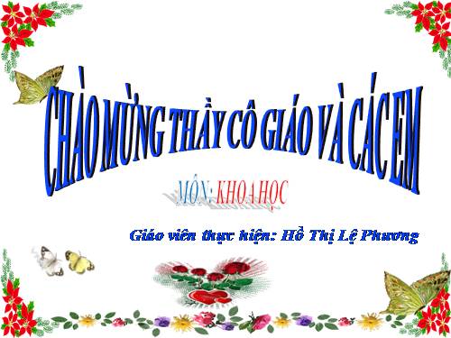 Bài 29. Tiết kiệm nước