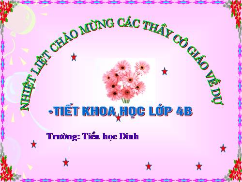 Bài 13. Phòng bệnh béo phì