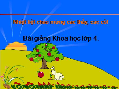 Bài 62. Động vật cần gì để sống?