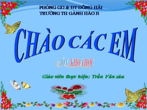 Bài 29. Tiết kiệm nước
