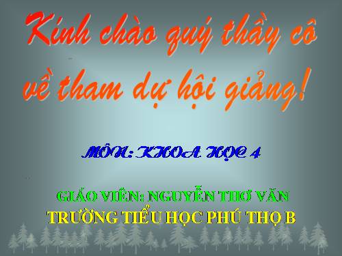 Bài 47. Ánh sáng cần cho sự sống