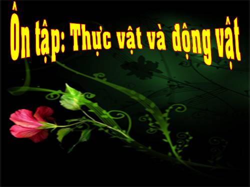 Bài 67 - 68. Ôn tập: Thực vật và động vật