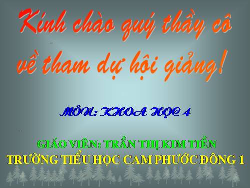 Bài 47. Ánh sáng cần cho sự sống