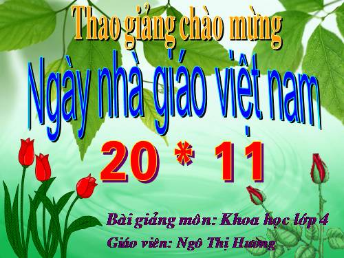 Bài 26. Nguyên nhân làm nước bị ô nhiễm