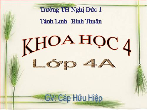 Bài 24. Nước cần cho sự sống
