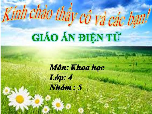 Bài 58. Nhu cầu nước của thực vật