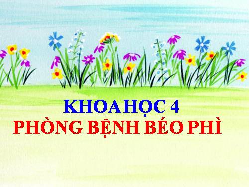 Bài 13. Phòng bệnh béo phì