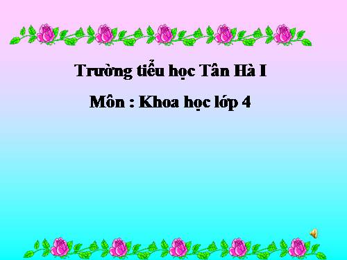 Bài 39. Không khí bị ô nhiễm