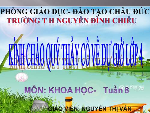 Bài 16. Ăn uống khi bị bệnh