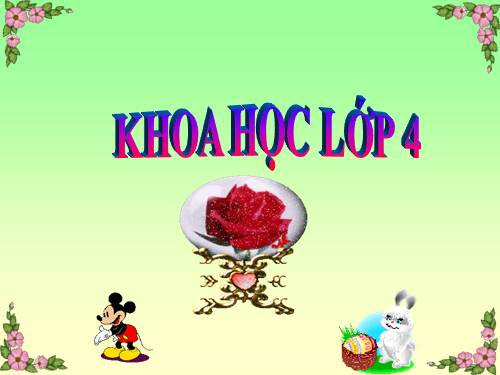 Bài 60. Nhu cầu không khí của thực vật