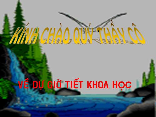 Bài 28. Bảo vệ nguồn nước