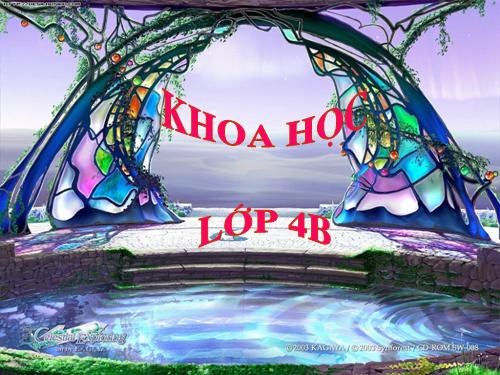 Bài 15. Bạn cảm thấy thế nào khi bị bệnh?