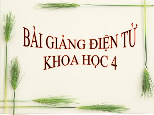 Bài 24. Nước cần cho sự sống