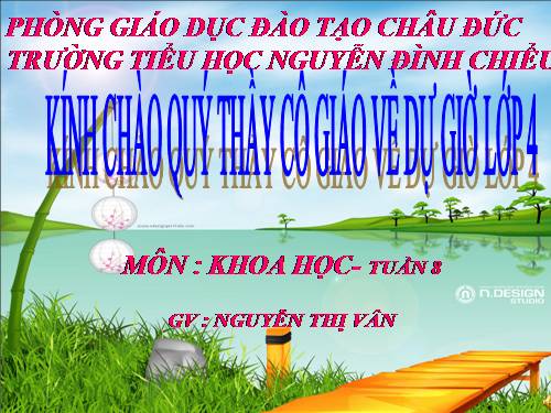 Bài 16. Ăn uống khi bị bệnh