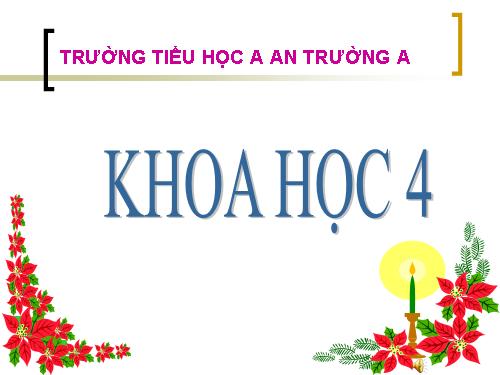 Bài 16. Ăn uống khi bị bệnh