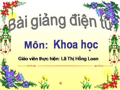 Bài 10. Ăn nhiều rau và quả chín, sử dụng thực phẩm sạch và an toàn