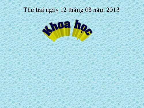 Bài 4. Các chất dinh dưỡng có trong thức ăn. Vai trò của chất bột đường