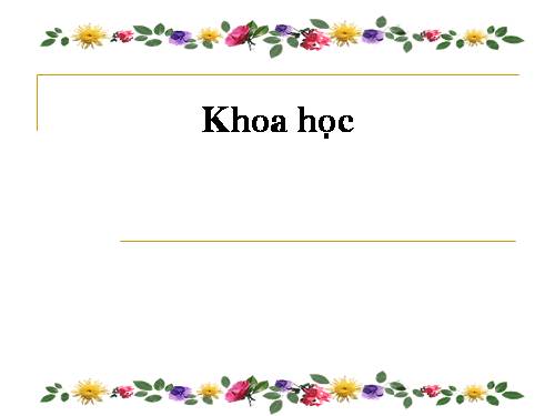 Bài 52. Vật dẫn nhiệt và vật cách nhiệt