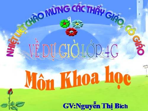 Bài 14. Phòng một số bệnh lây qua đường tiêu hoá