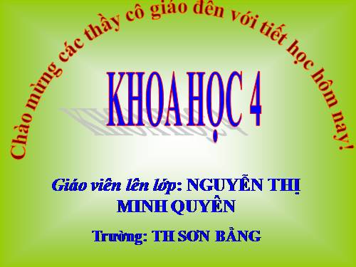 Bài 23. Sơ đồ vòng tuần hoàn của nước trong tự nhiên
