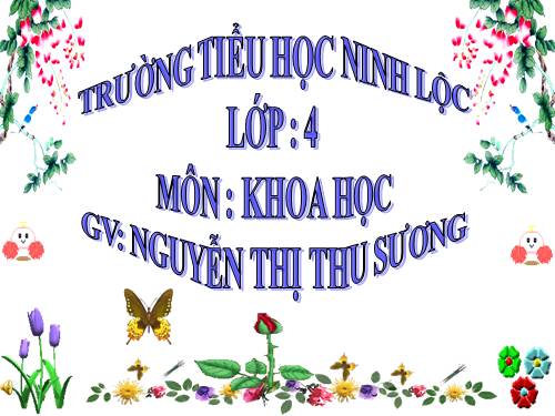 Bài 64. Trao đổi chất ở động vật