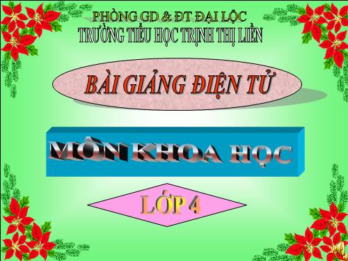 Bài 61. Trao đổi chất ở thực vật