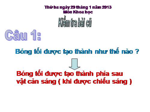 Bài 47. Ánh sáng cần cho sự sống