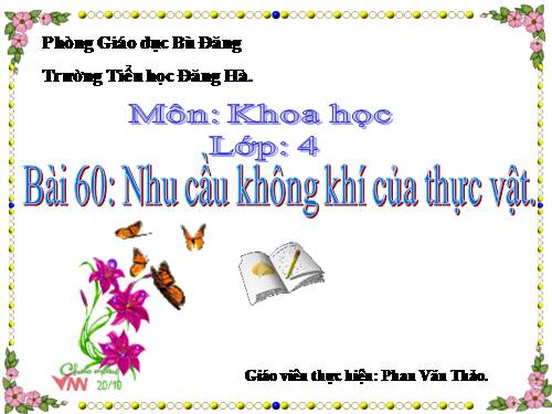 Bài 60. Nhu cầu không khí của thực vật