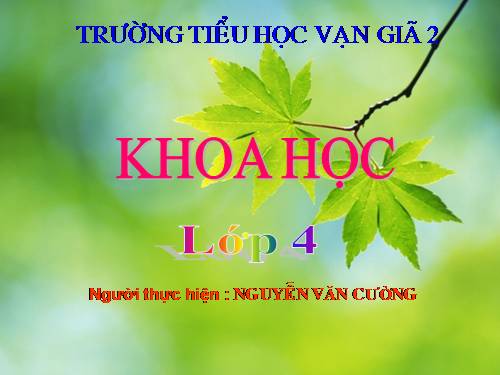 Bài 16. Ăn uống khi bị bệnh