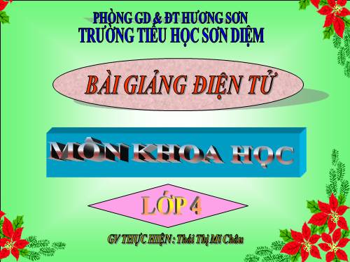 Bài 61. Trao đổi chất ở thực vật