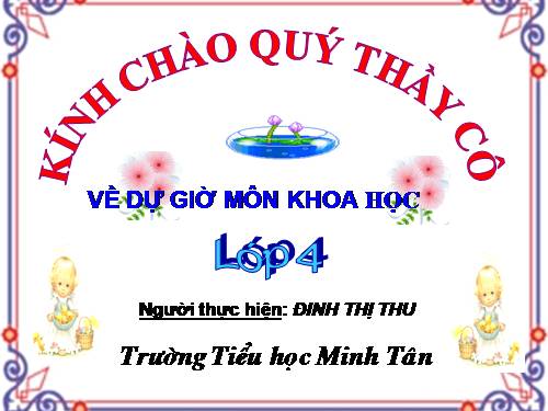 Bài 33 - 34. Ôn tập và Kiểm tra Học kì I