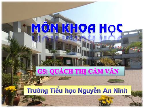 Bài 52. Vật dẫn nhiệt và vật cách nhiệt