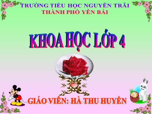 Bài 64. Trao đổi chất ở động vật