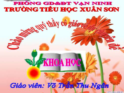 Bài 32. Không khí gồm những thành phần nào?