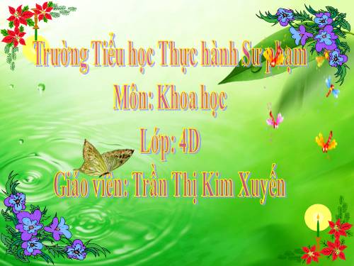 Bài 44. Âm thanh trong cuộc sống (tiếp theo)