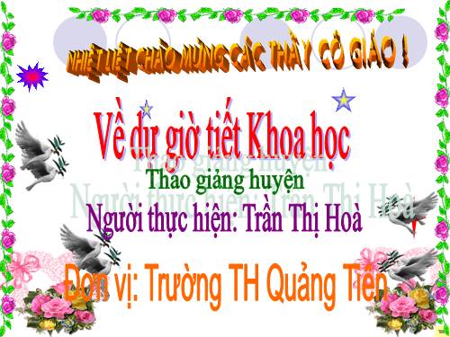 Bài 41. Âm thanh