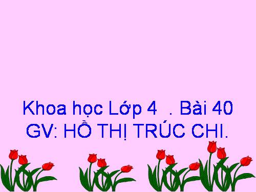 Bài 40. Bảo vệ bầu không khí trong sạch