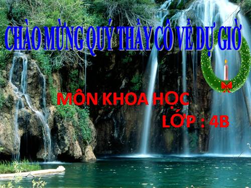 Bài 40. Bảo vệ bầu không khí trong sạch