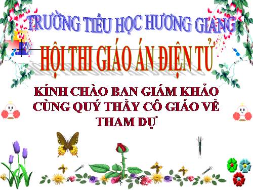 Bài 63. Động vật ăn gì để sống?