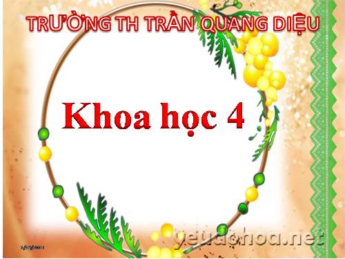 Bài 13. Phòng bệnh béo phì