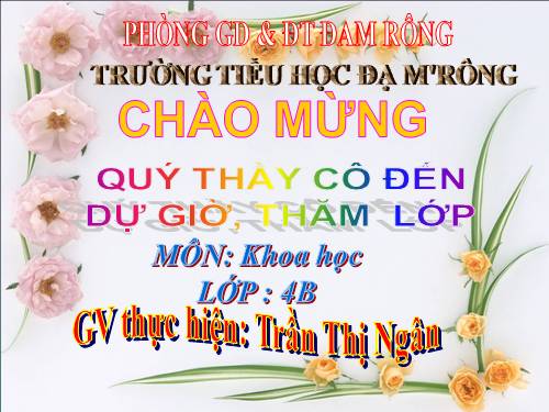 Bài 39. Không khí bị ô nhiễm