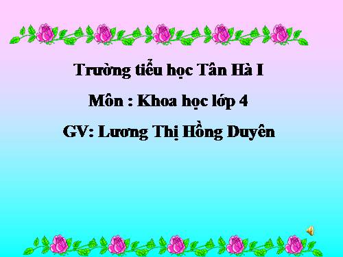 Bài 39. Không khí bị ô nhiễm