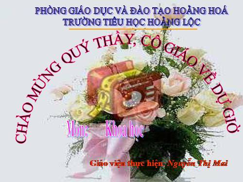 Bài 36. Không khí cần cho sự sống