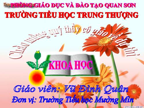 Bài 32. Không khí gồm những thành phần nào?