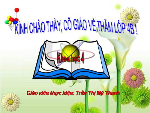 Bài 28. Bảo vệ nguồn nước