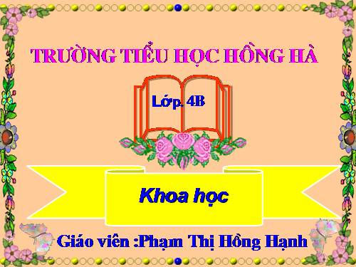Bài 58. Nhu cầu nước của thực vật