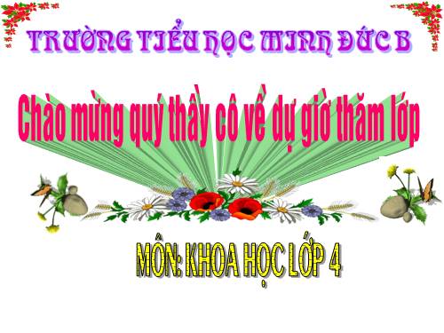 Bài 20. Nước có những tính chất gì?