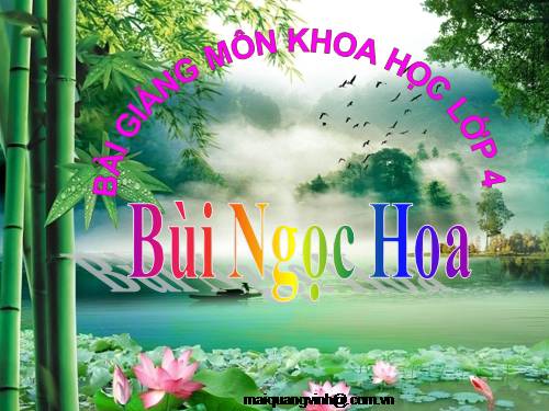 Bài 28. Bảo vệ nguồn nước