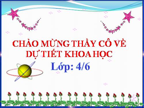 Bài 24. Nước cần cho sự sống