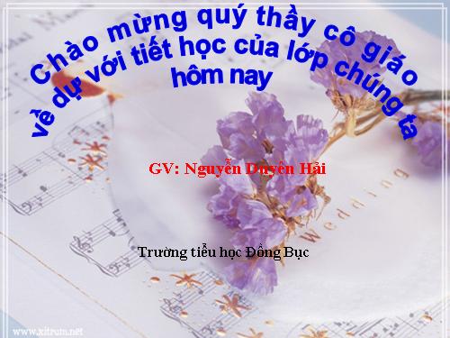 Bài 66. Chuỗi thức ăn trong tự nhiên